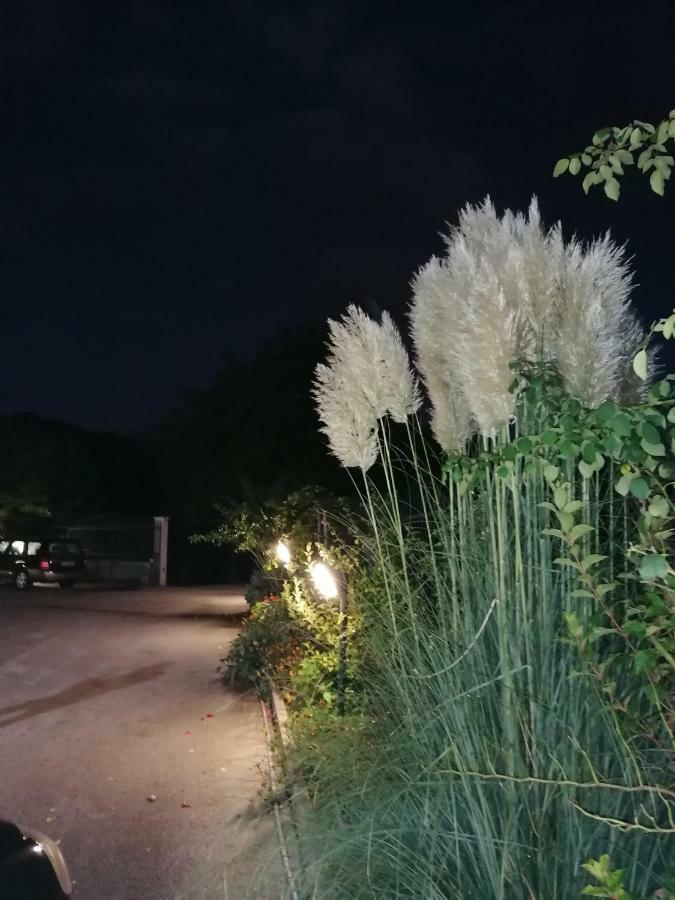 Cagnano AmiternoLe Stanze Di Bacco别墅 外观 照片